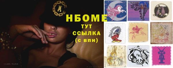 прущие грибы Балахна