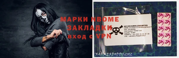 прущие грибы Балахна