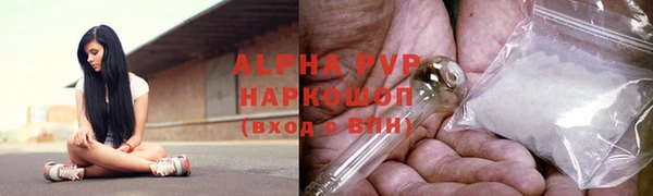 прущие грибы Балахна