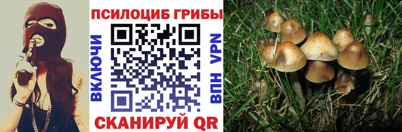 Псилоцибиновые грибы MAGIC MUSHROOMS Кропоткин